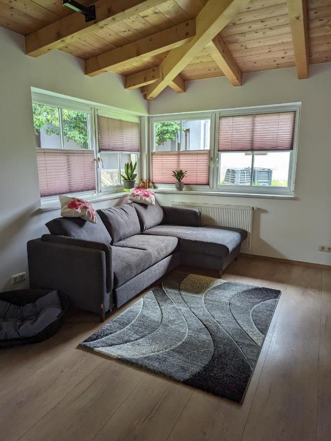 Ferienwohnung Trixi Hollersbach im Pinzgau Εξωτερικό φωτογραφία